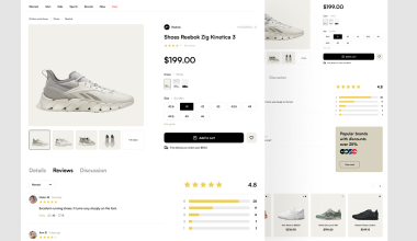 خدمات سئو سایت در مشهد